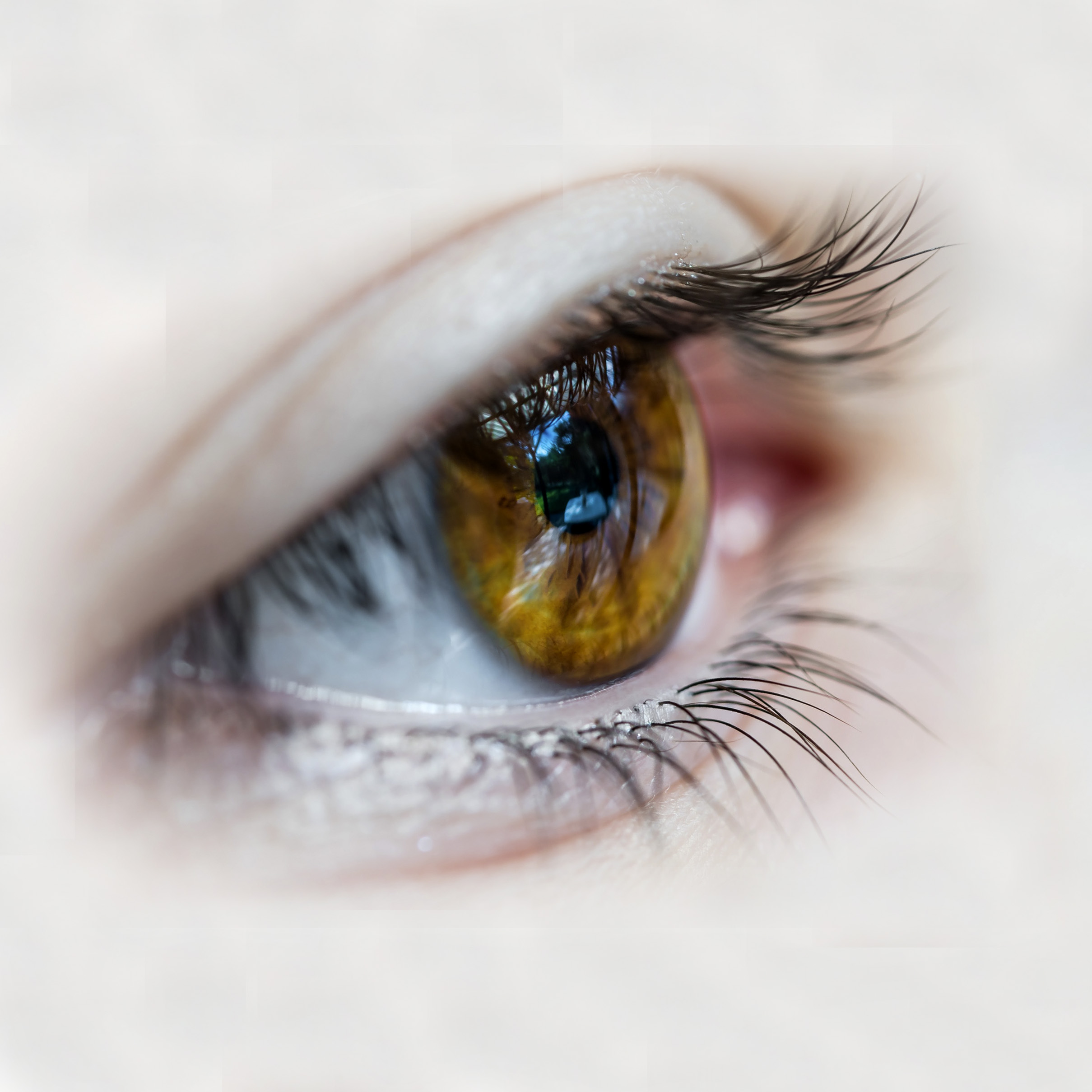 Photo by Patrick Brinksma on Unsplash Eye Movement Desensitization and Reprocessing, Photo by Patrick Brinksma on Unsplash