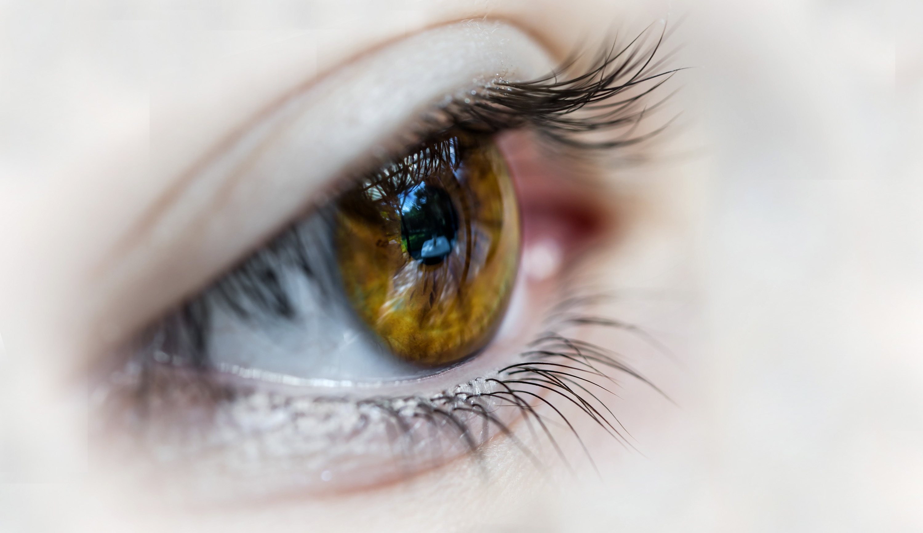Photo by Patrick Brinksma on Unsplash Eye Movement Desensitization and Reprocessing, Photo by Patrick Brinksma on Unsplash
