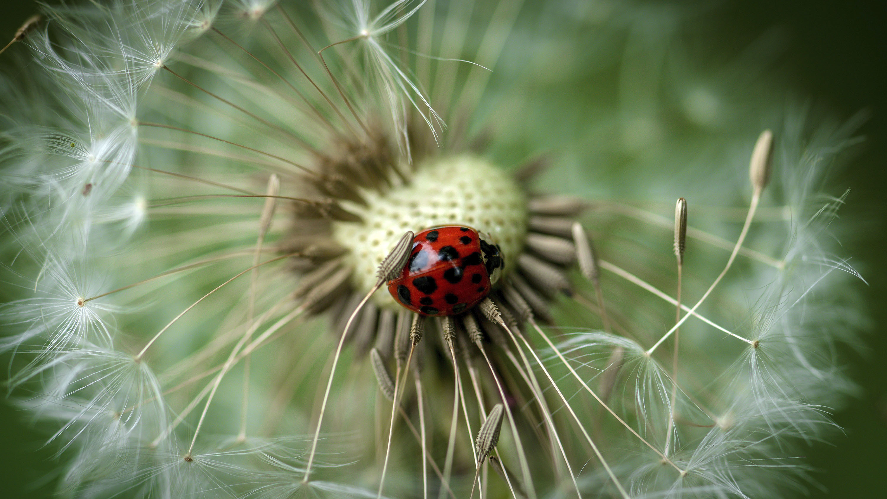 Photo by Sven Gauditz on Unsplash