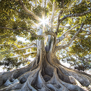 Photo by Jeremy Bishop on Unsplash Psychotherapie, Photo by Jeremy Bishop on Unsplash